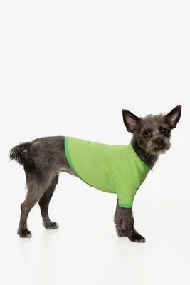 49005 - Baby Rib Dog T-shirt